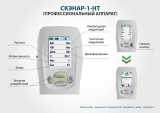 СКЭНАР-1-НТ (исполнение 01)  в Кызыле купить Медицинская техника - denasosteo.ru 